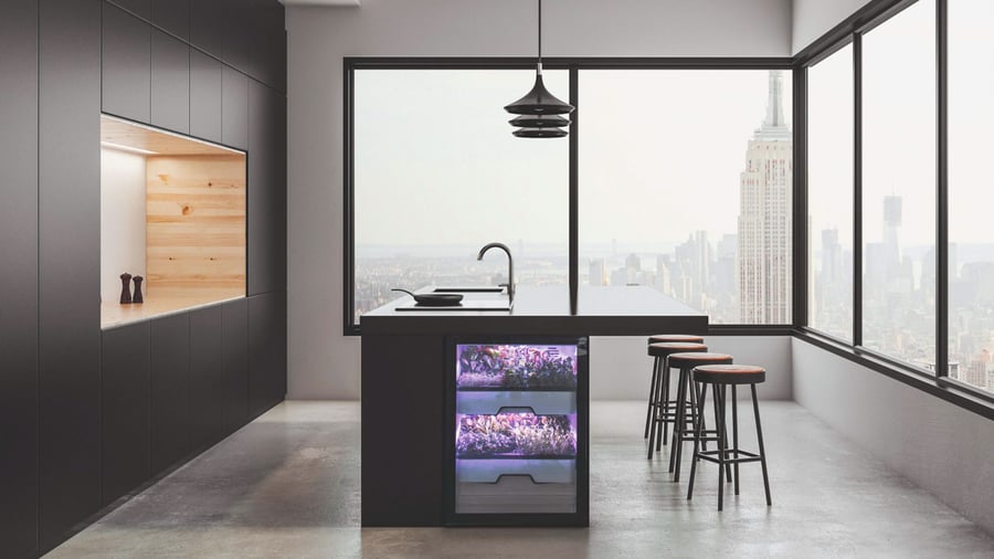 Die Küche als Gewächshaus